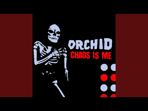 Epilogue of a Car Crash