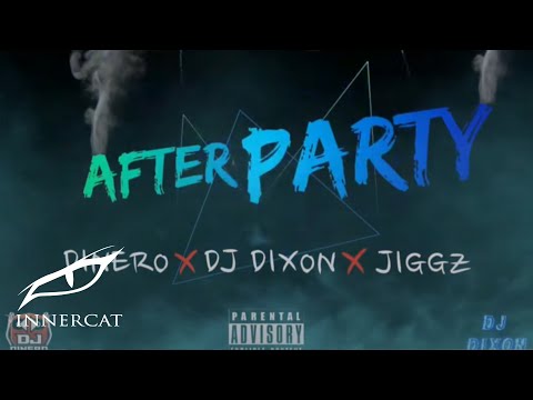 Dinero x JIGGZ x DJ Dixon - After Party (Cover Video)