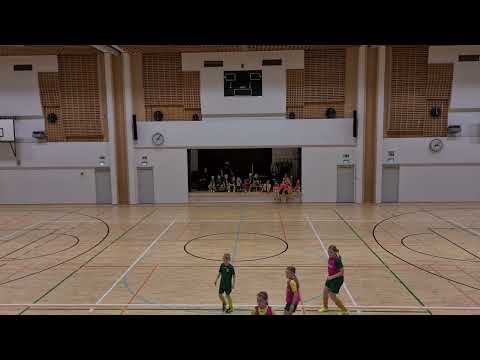 HauPa T1213 Kelt - HauPa P15