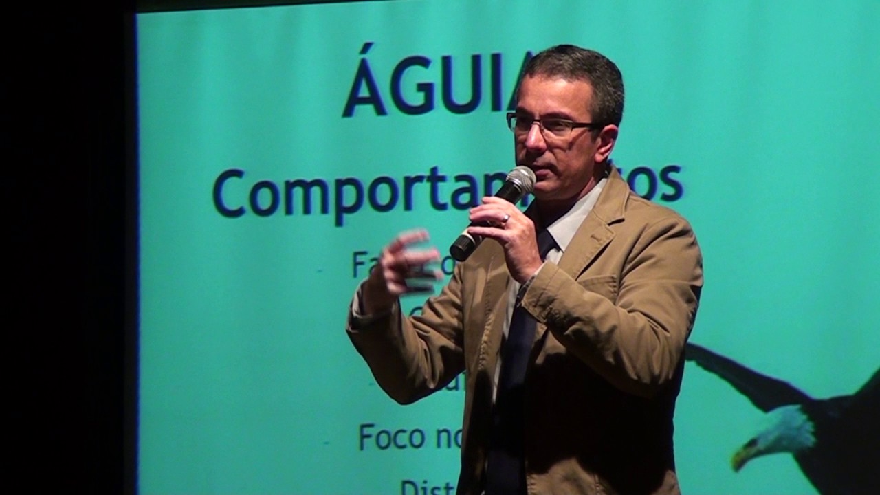 Perfil comportamental e Preferência Cerebral (Lobo, Tubarão e águia)