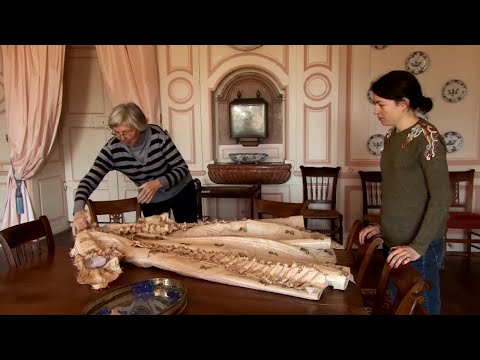 SOS Patrimoine en péril : qui sont les sauveurs des belles pierres ?