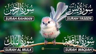 Download lagu Magical Recitation Surah Yaseen (Yasin) | Surah Rahman | Surah Waqiah | Surah Mulk mp3