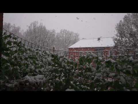 Snow in Hamburg January 2026 🇩🇪