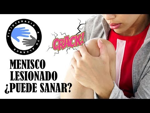 Can a torn meniscus heal on its own?