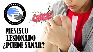 Una rotura de menisco, ¿puede curarse por si sola