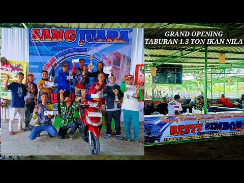 DAHSYAT....!!! Perang Ikan Nila Monster, Terkecil Nominasi 1.9Kg