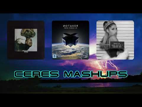 Ariana Grande & Notaker - Bad Idea-Knew Better-Forever Boy-The Longest Night (Ceres Mashup)