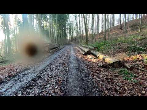 Ground Zero - bei 0 Grad von Bachenau nach Willsbach - KTM Macina Lycan