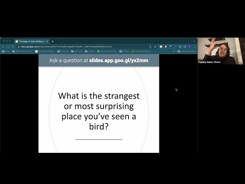 The Magic of Urban Green Spaces with Yamina Nater-Otero