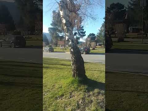Septiembre 2026 Lago Puelo Chubut