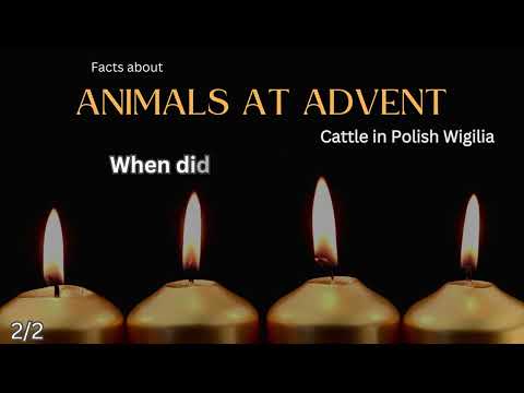Advent Animal Fact 19 - Why are cattle honoured during Wigilia in Poland?