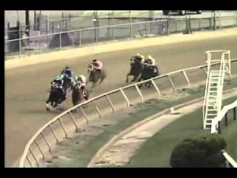 Pimlico 04/11/14 race 9