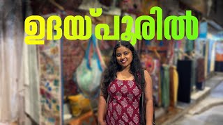 Reached Udaipur | EP - 12 | | Desert Diaries | Puthettu Family Vlog |