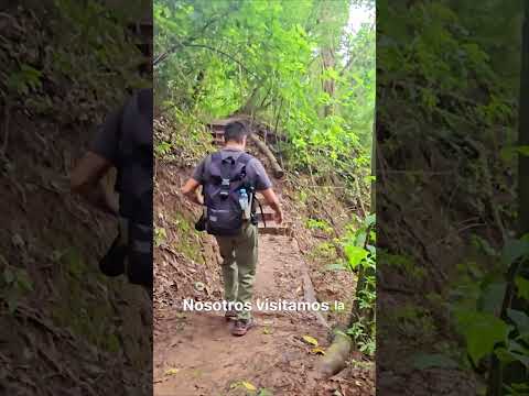 Mini Vlog 12 Lugares de 🇦🇷 que visitamos este año🫶🏾 #jujuy #vlog #parquesnacionales #calilegua