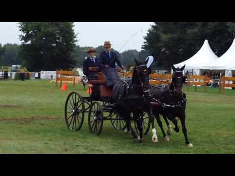 Fahrturnier Lette 17.9.2016