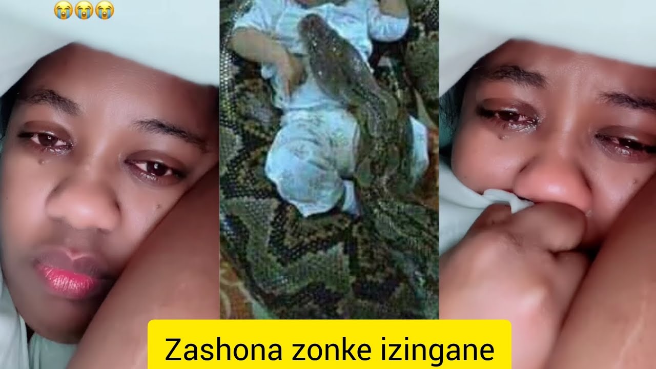 YouTube Thumbnail Downloader FULL HQ IMAGE