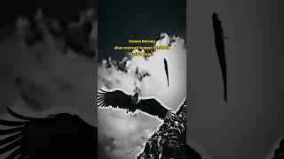 Download lagu Story WA keren Elang🔥kata bijak@EmRuudstory #storywa #motivation #animals #shorts #youtubeshorts mp3