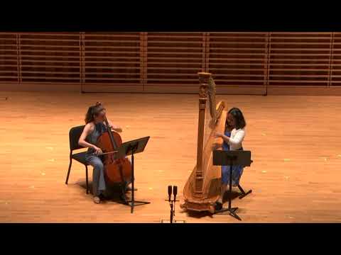 The Entrance Stone - for Cello and Harp by Shahar Regev