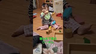 積み木で遊ぶひーさん
