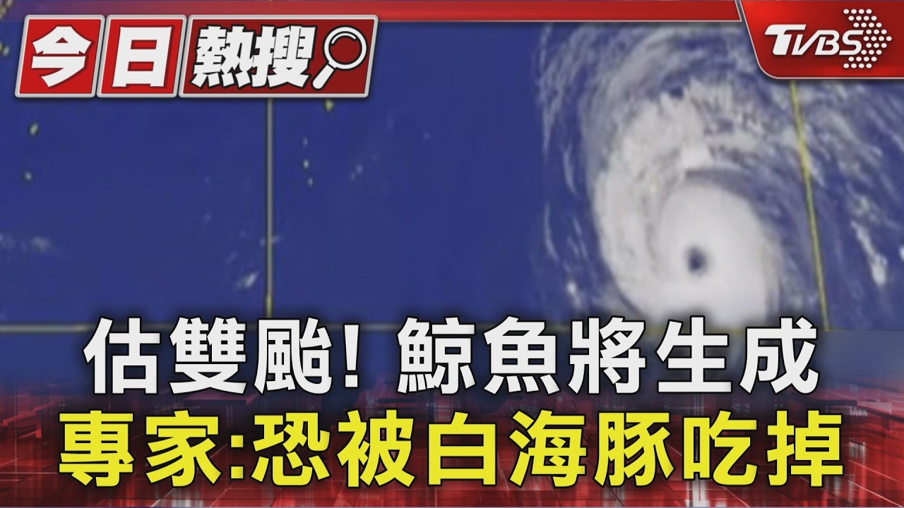 估雙颱! 鯨魚將生成 專家:恐被白海豚吃掉｜TVBS新聞 @TVBSNEWS01