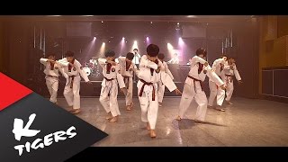 TÉLÉCHARGER VIDEO TAEKWONDO 3GP VIDEO TAEKWONDO 3GP