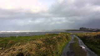 preview picture of video 'Crazy Swans during a November storm in Co. Clare, Ireland'
