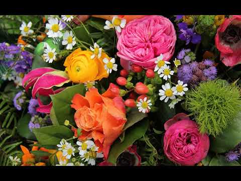 HALATOULIKI (MA'UFANGA) FAREWELL TO MY HEART