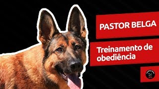 video guardog na mídia