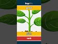 grow - 成长 video thumbnail