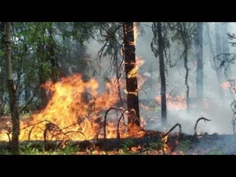 Rondo Veneziano - Fiaba antica (1a Parte, 2a) Russia