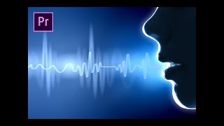 프리미어프로 야매강좌 7강 목소리강화및 적정볼륨설정법