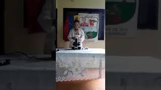 Partes del Microscopio Binocular.