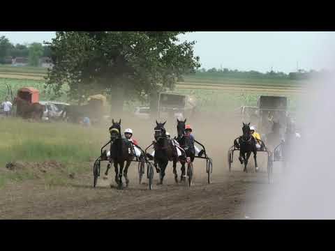 Trka "IV kasačka trka" 14.06.2020 Happy Day