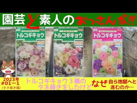 園芸 トルコギキョウ、大輪トルコギキョウ、ラッセルトルコギキョウ、プレーリーリンドウ