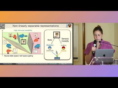 Nonlinear manifold capacity theory with contextual information - Francesca Mignacco