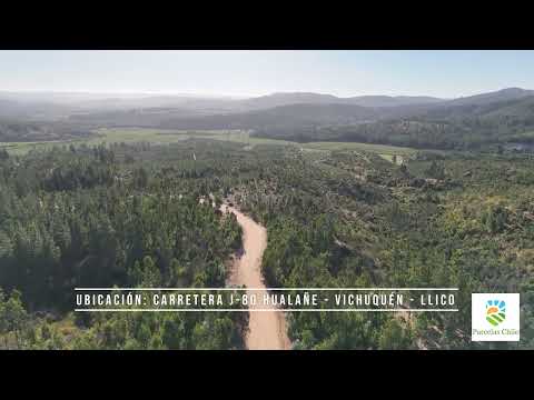 Tour Los Aromos de Tilicura Vichuquén región del maule | Parcelas Chile Spa