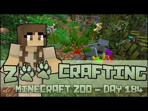 Newly Hatched McCaw Parrots! 🐘 Zoo Crafting: Season 2 - Episode #184