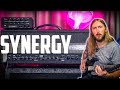 SYNERGY MODULAR TUBE AMPLIFIER SYN50 SYN1 Preamp