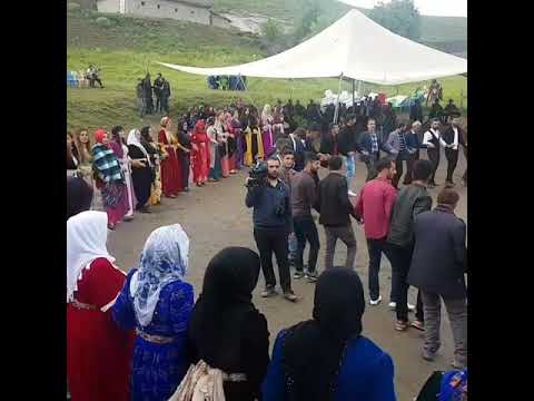 Koma Dilan Hakkari düğünleri New halay kurdısh wedding