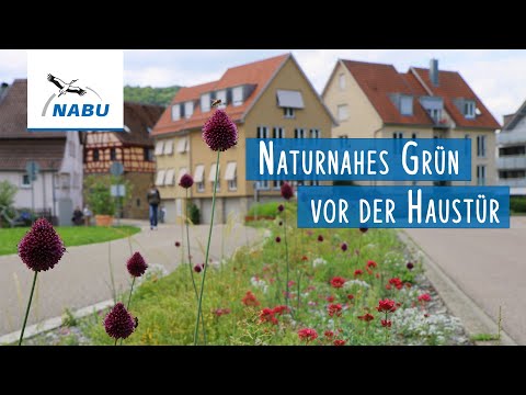 Artenvielfalt vor der Haustür | NABU-Vortrag mit Tipps für den Privatgarten