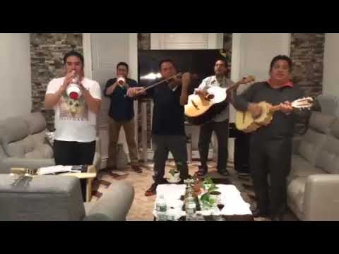Promotional video thumbnail 29 for Mariachi Nuevo Mexico