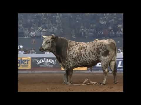 Royd Doyal vs Fonzi - 95 PBR Guthrie (83 pts)