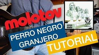 Cómo tocar &quot;Perro Negro Granjero&quot; de &quot;Molotov&quot; en Guitarra || El Richi!