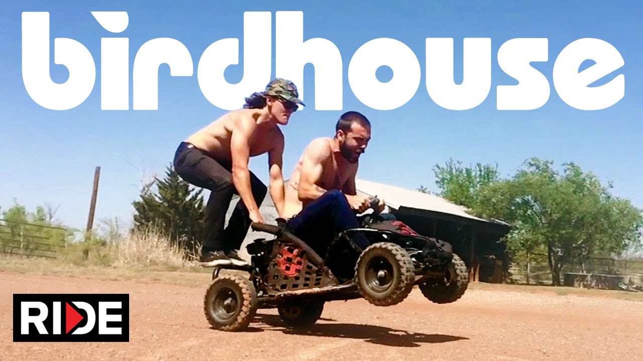 El Show de Birdhouse: Capítulo 1