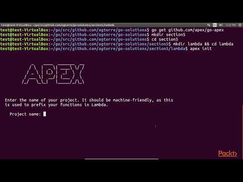 Adv Solutions in Go–Testing Distributed Systems Go Program on Lambda with Apex| packtpub com