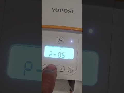 Yuposl cat feeder for two stray cats of a lady who is sick and can't feed her strays #catsofyoutube 