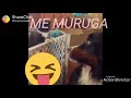 Arumugasamy Mukil