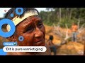 Bosbranden bedreigen de bewoners van Amazone