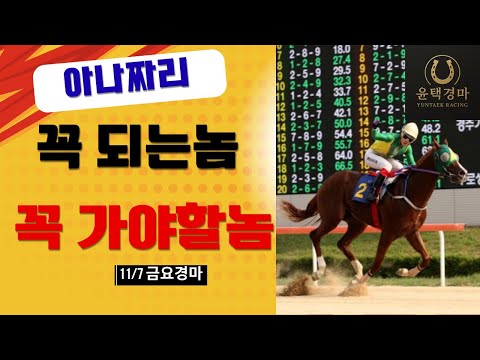 11/7 금요-윤택-경마 아나짜리 꼭 되는놈과 꼭 가야할놈의 차이는!