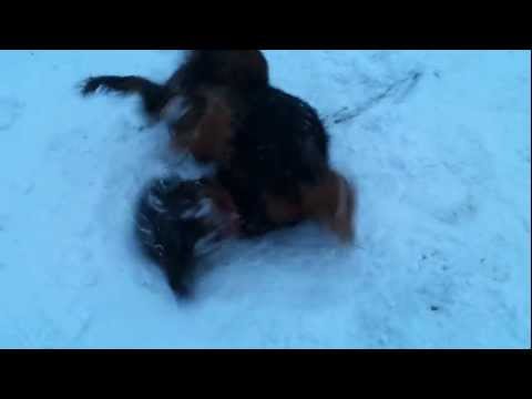 Klass 2 varning i Åre